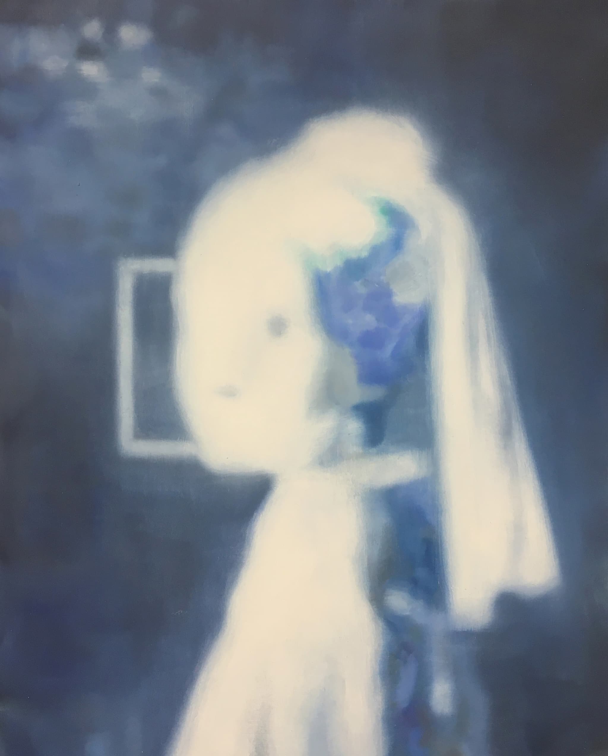 Closer to Verrmeer: through the lens