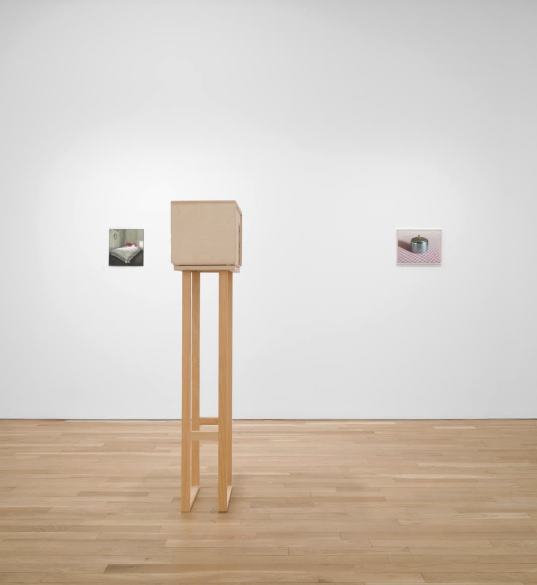 Trasllat, Bienvenu, Steinberg & C, 2023