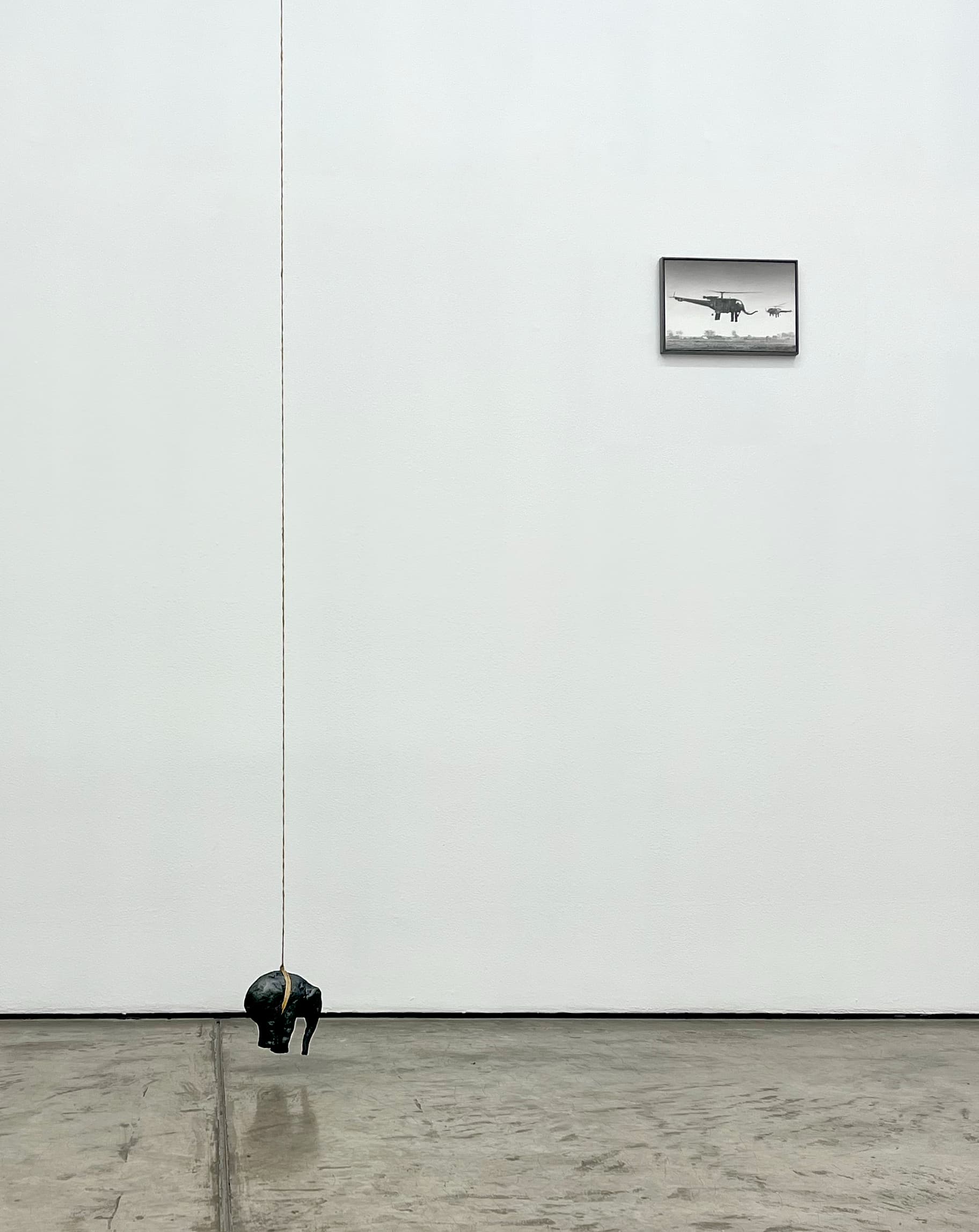 Mudanza, Arróniz 2025