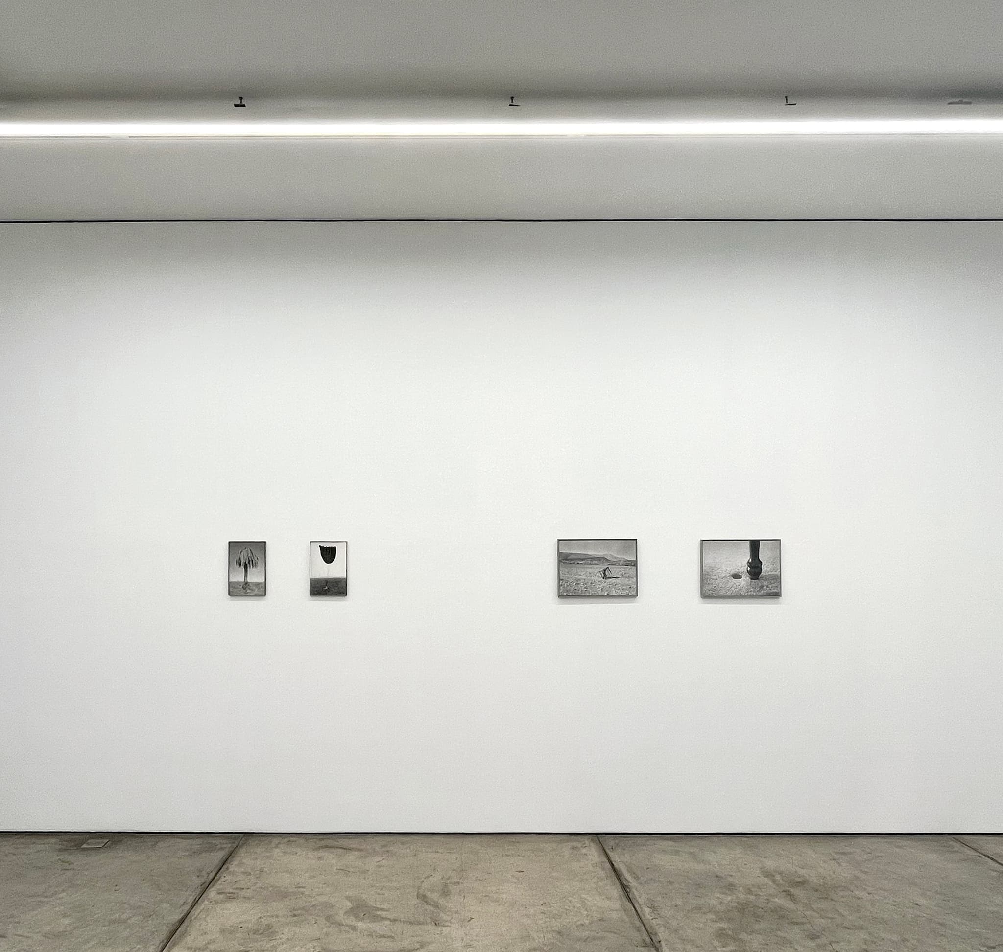 Mudanza, Arróniz 2025