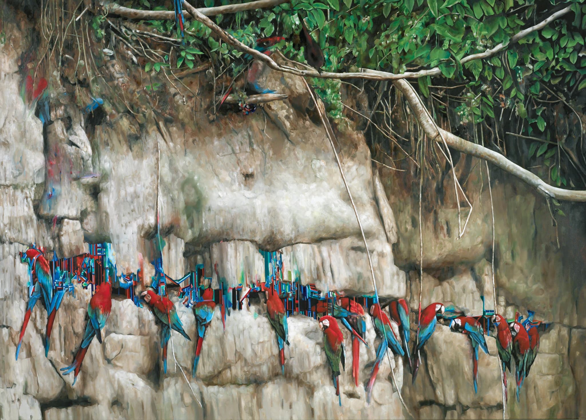 Macaws
