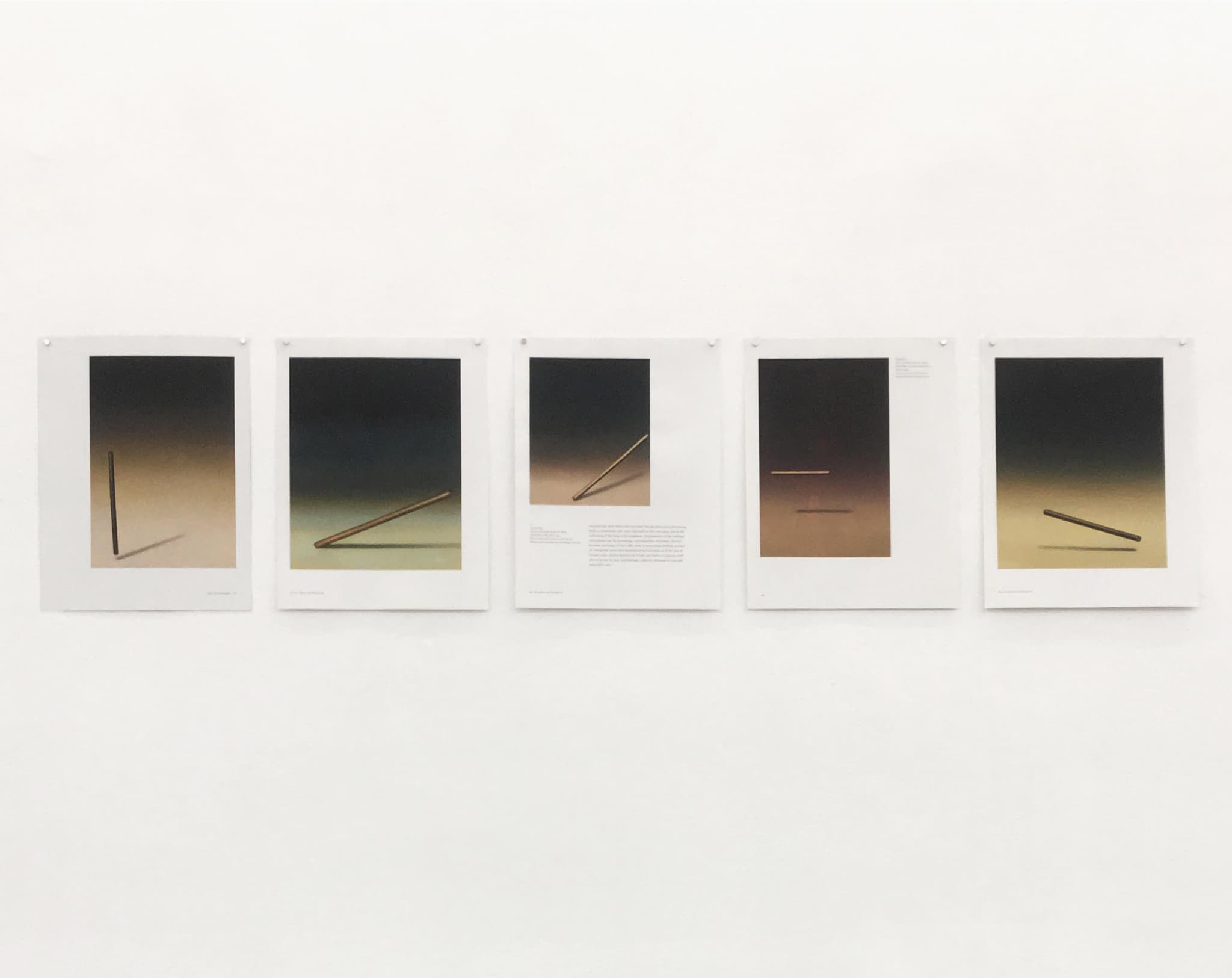 Bengala 1, 2, 3, 4, 5. Espacio Mínimo Gallery, 2019