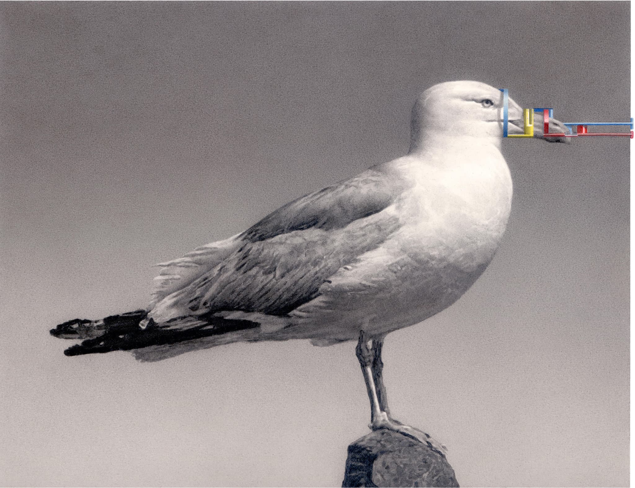 Seagull 2